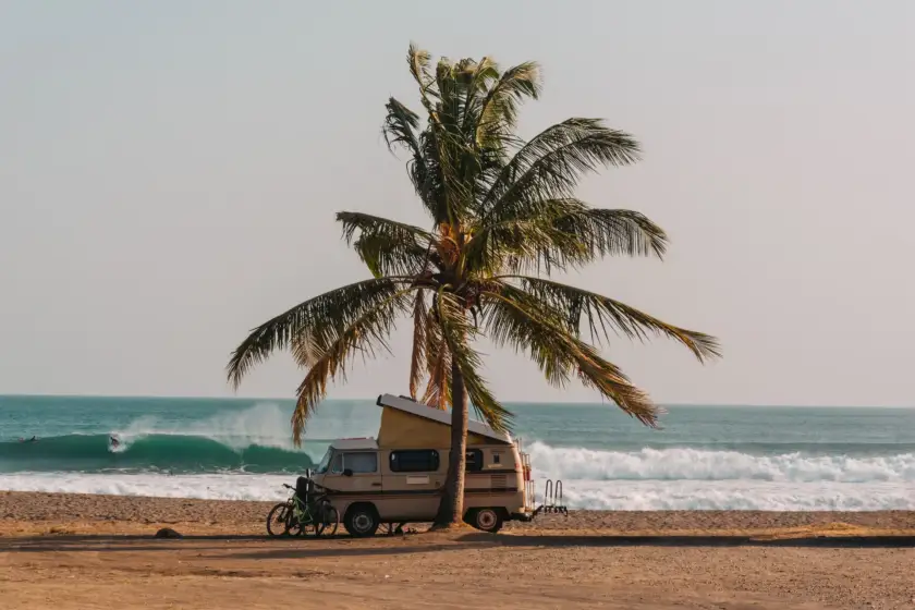 Big game species nearby